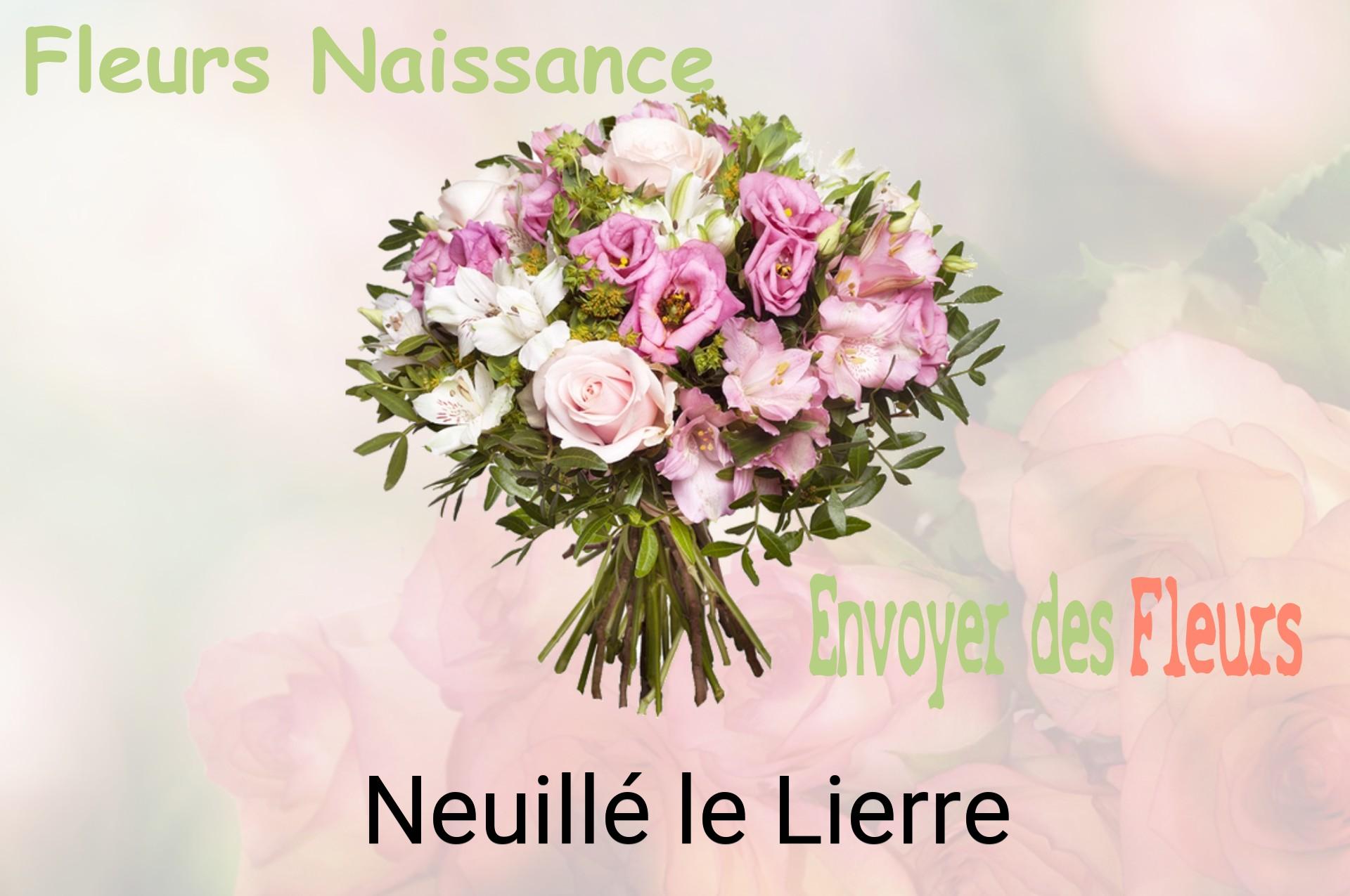 Bouquet de fleurs de naissance livré à Neuillé-le-Lierre
