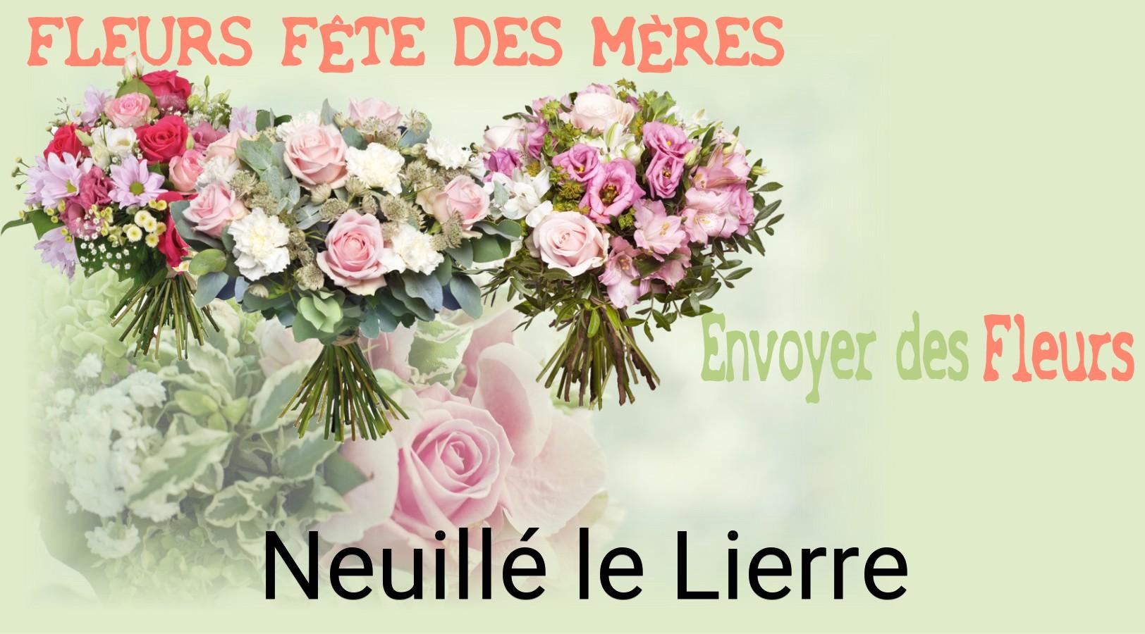 Bouquet de Fête des Mères livré à Neuillé-le-Lierre